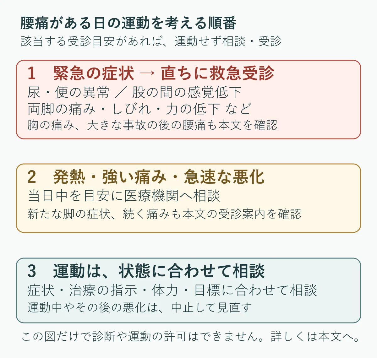 腰痛がある日の運動を考える順番:緊急症状、受診の必要性、個別の運動相談を確認する図
