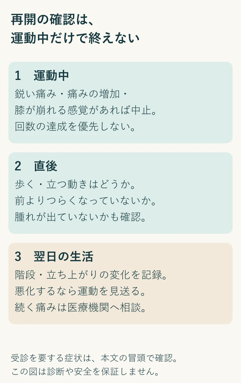 スクワット再開時は運動中、直後、翌日の生活を確認する。痛みの増加、歩行や階段への影響、腫れを記録して負荷を調整し、続く痛みは相談する。